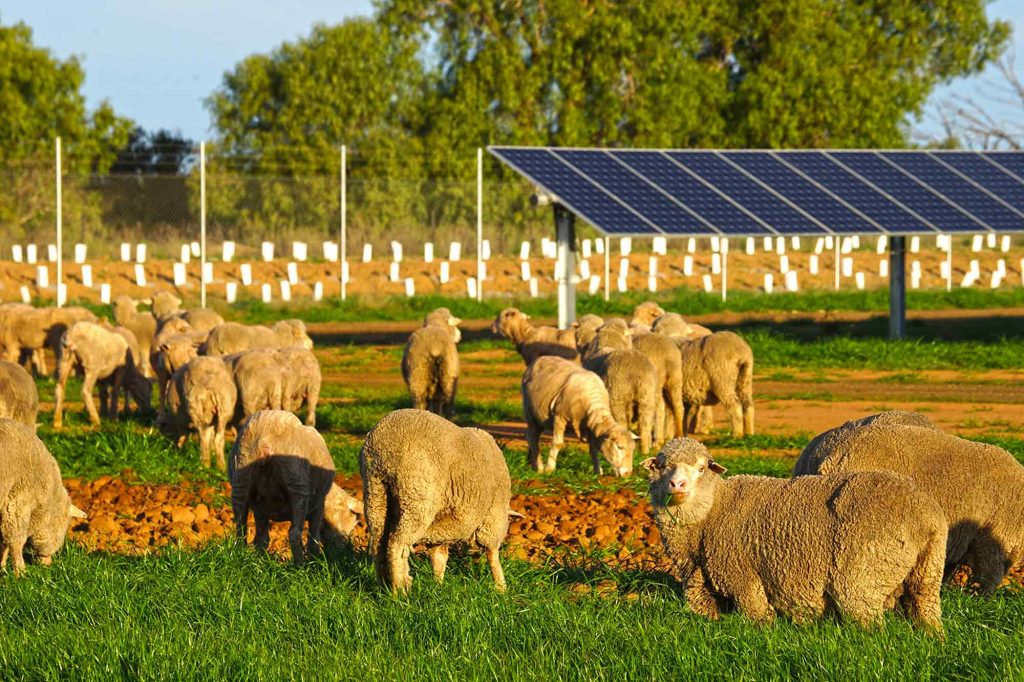 About agrisolar